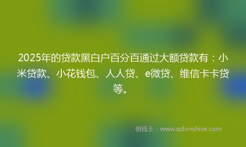 2025年的贷款黑白户百分百通过大额贷款有：小米贷款、小花钱包、人人贷、e微贷、维信卡卡贷等。