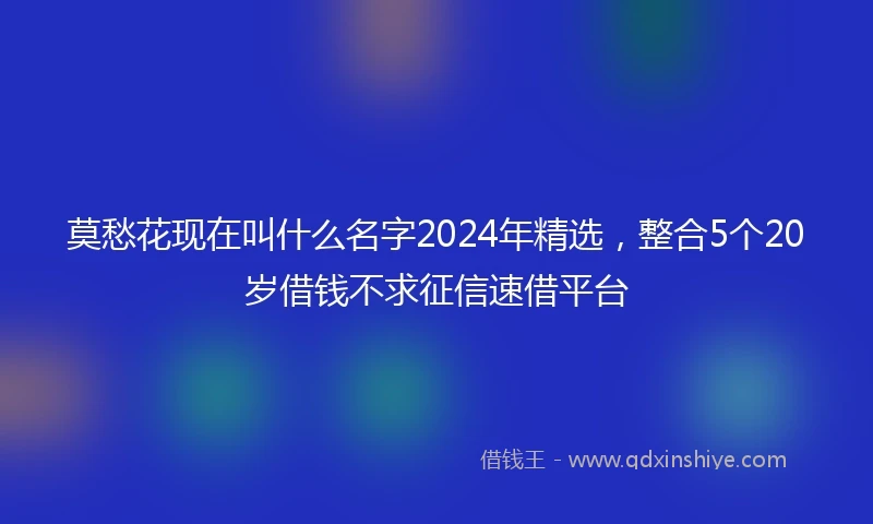 莫愁花现在叫什么名字2024年精选，整合5个20岁借钱不求征信速借平台