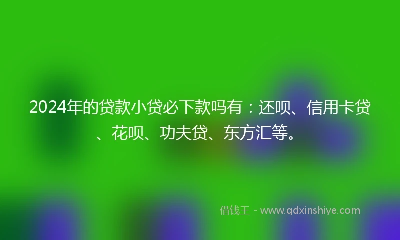 2024年的贷款小贷必下款吗有：还呗、信用卡贷、花呗、功夫贷、东方汇等。