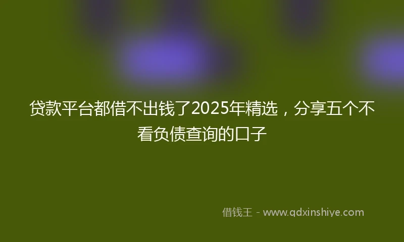 贷款平台都借不出钱了2025年精选，分享五个不看负债查询的口子