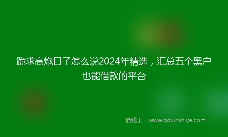 跪求高炮口子怎么说2024年精选，汇总五个黑户也能借款的平台