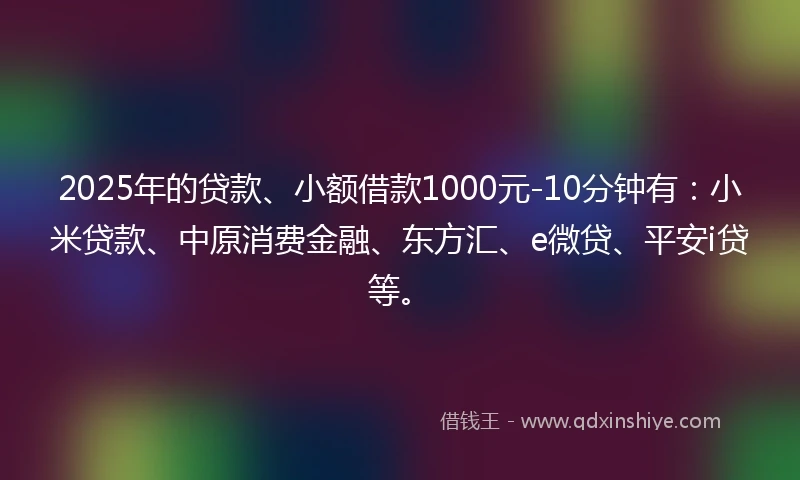 2025年的贷款、小额借款1000元-10分钟有：小米贷款、中原消费金融、东方汇、e微贷、平安i贷等。