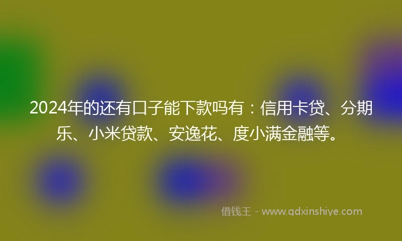 2024年的还有口子能下款吗有：信用卡贷、分期乐、小米贷款、安逸花、度小满金融等。