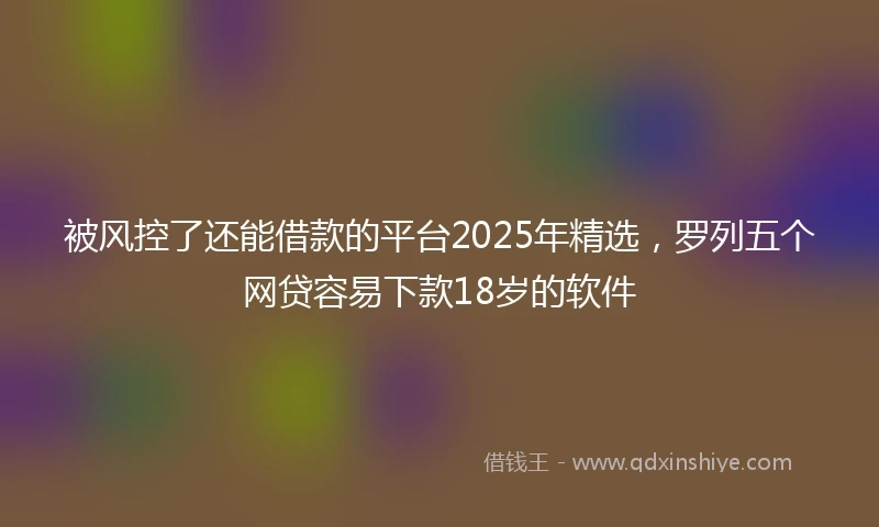 被风控了还能借款的平台2025年精选，罗列五个网贷容易下款18岁的软件