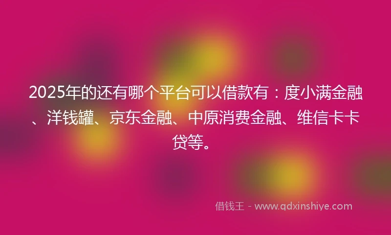 2025年的还有哪个平台可以借款有：度小满金融、洋钱罐、京东金融、中原消费金融、维信卡卡贷等。