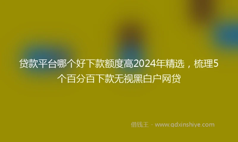 贷款平台哪个好下款额度高2024年精选，梳理5个百分百下款无视黑白户网贷