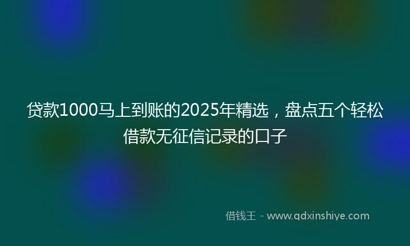 贷款1000马上到账的2025年精选，盘点五个轻松借款无征信记录的口子
