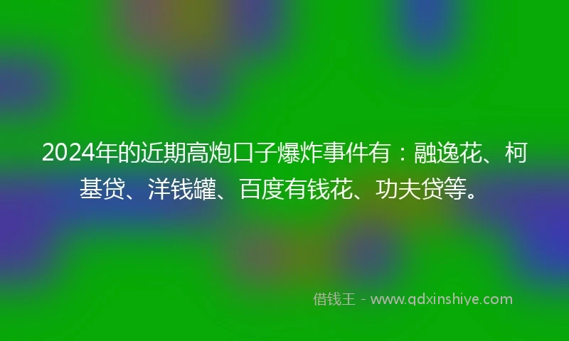 2024年的近期高炮口子爆炸事件有：融逸花、柯基贷、洋钱罐、百度有钱花、功夫贷等。
