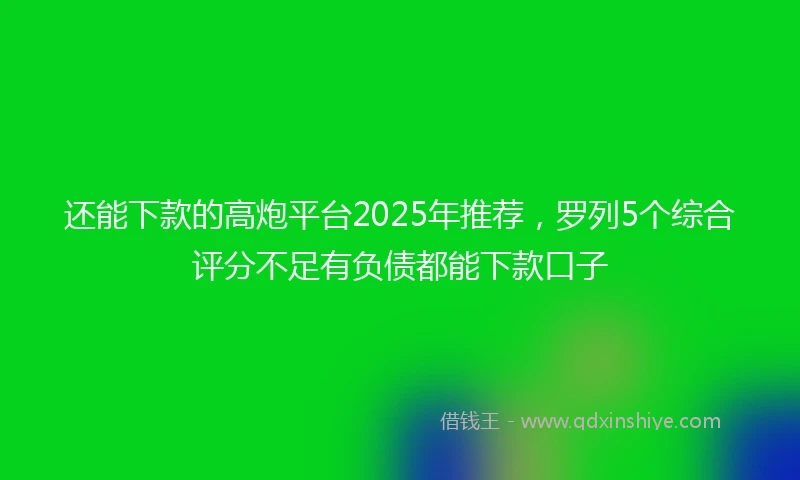 还能下款的高炮平台2025年推荐，罗列5个综合评分不足有负债都能下款口子