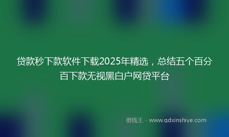贷款秒下款软件下载2025年精选，总结五个百分百下款无视黑白户网贷平台