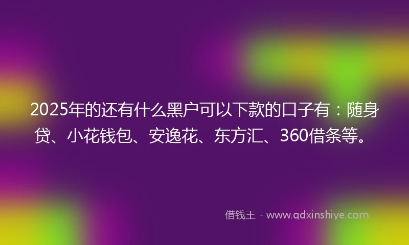 2025年的还有什么黑户可以下款的口子有：随身贷、小花钱包、安逸花、东方汇、360借条等。