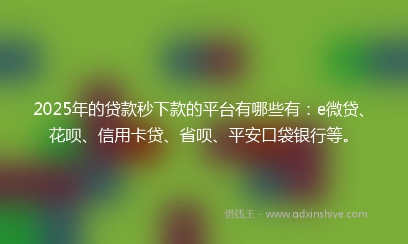 2025年的贷款秒下款的平台有哪些有：e微贷、花呗、信用卡贷、省呗、平安口袋银行等。