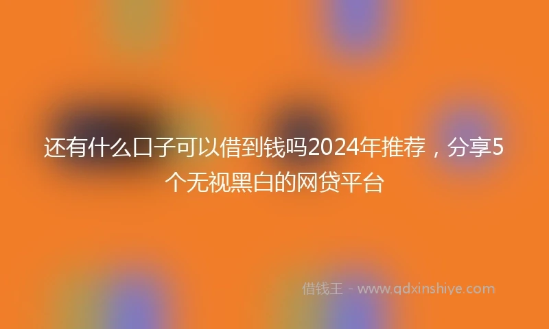 还有什么口子可以借到钱吗2024年推荐，分享5个无视黑白的网贷平台