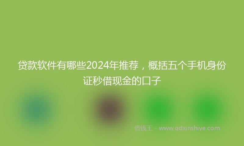 贷款软件有哪些2024年推荐，概括五个手机身份证秒借现金的口子