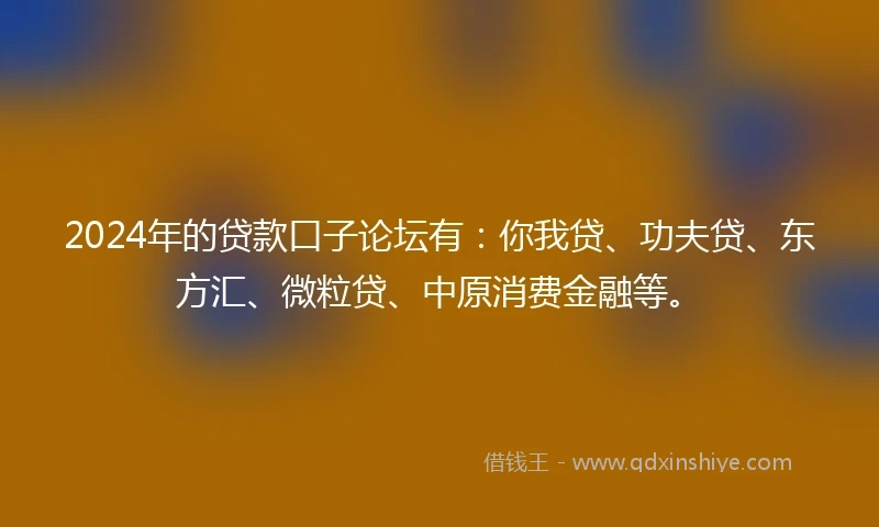 2024年的贷款口子论坛有：你我贷、功夫贷、东方汇、微粒贷、中原消费金融等。