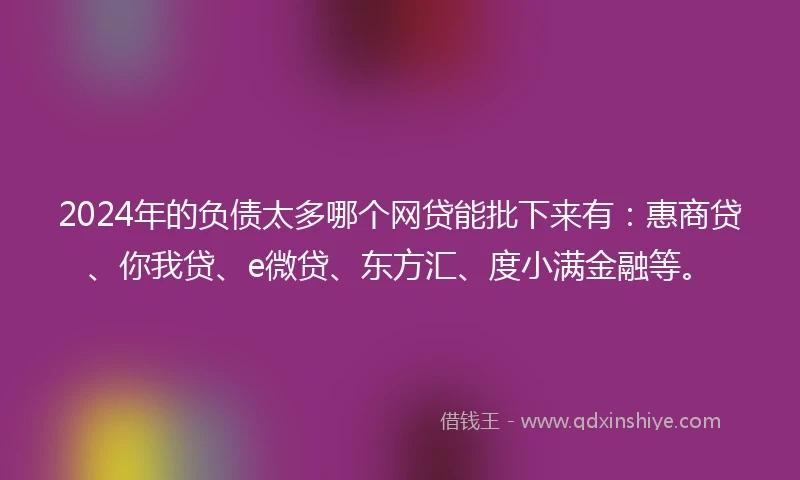 2024年的负债太多哪个网贷能批下来有：惠商贷、你我贷、e微贷、东方汇、度小满金融等。