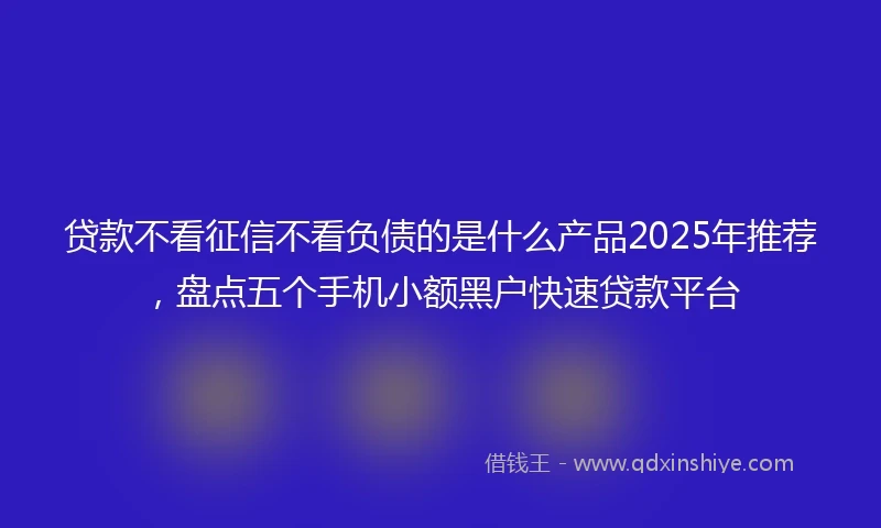 贷款不看征信不看负债的是什么产品2025年推荐，盘点五个手机小额黑户快速贷款平台
