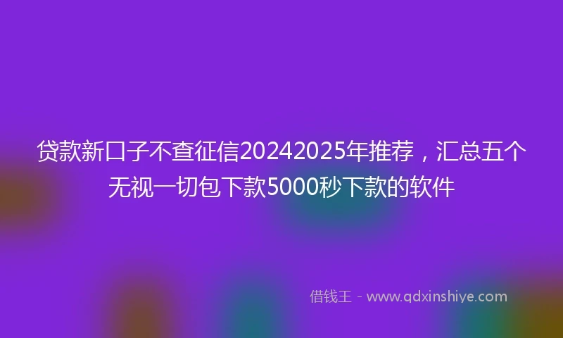 贷款新口子不查征信20242025年推荐，汇总五个无视一切包下款5000秒下款的软件