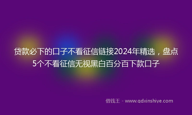 贷款必下的口子不看征信链接2024年精选，盘点5个不看征信无视黑白百分百下款口子