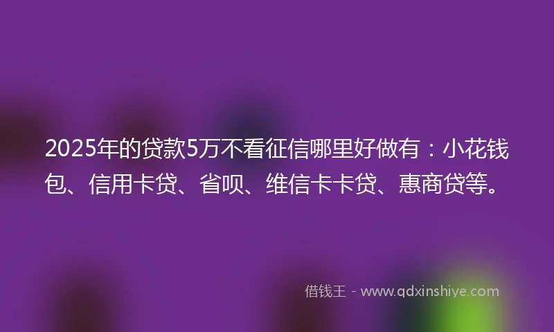 2025年的贷款5万不看征信哪里好做有：小花钱包、信用卡贷、省呗、维信卡卡贷、惠商贷等。