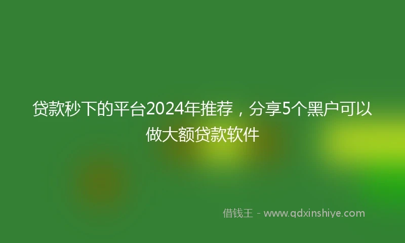 贷款秒下的平台2024年推荐，分享5个黑户可以做大额贷款软件