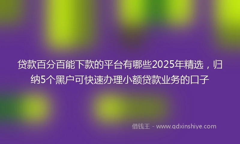 贷款百分百能下款的平台有哪些2025年精选,归纳5个黑户可快速办理小额贷款业务的口子