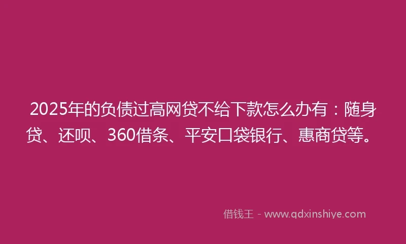 2025年的负债过高网贷不给下款怎么办有：随身贷、还呗、360借条、平安口袋银行、惠商贷等。