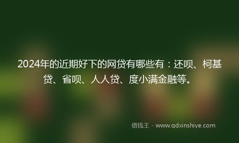 2024年的近期好下的网贷有哪些有：还呗、柯基贷、省呗、人人贷、度小满金融等。
