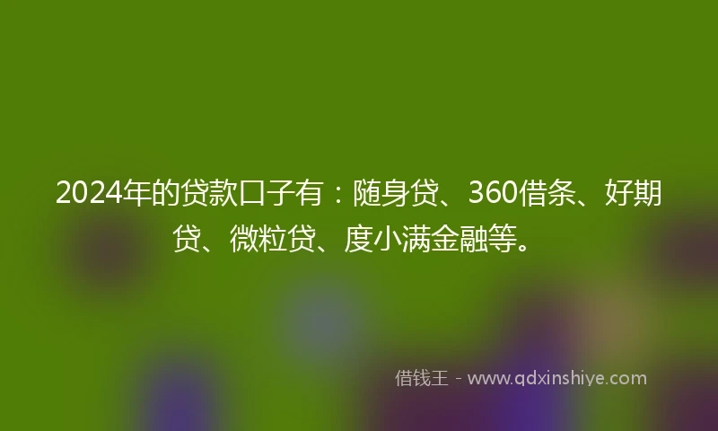 2024年的贷款口子有：随身贷、360借条、好期贷、微粒贷、度小满金融等。