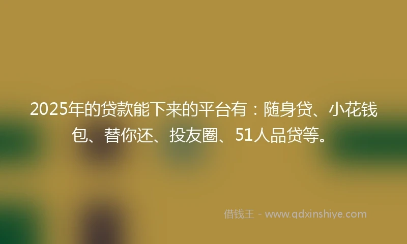 2025年的贷款能下来的平台有：随身贷、小花钱包、替你还、投友圈、51人品贷等。