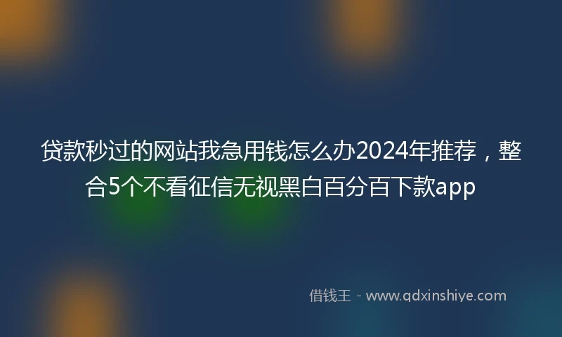 贷款秒过的网站我急用钱怎么办2024年推荐，整合5个不看征信无视黑白百分百下款app