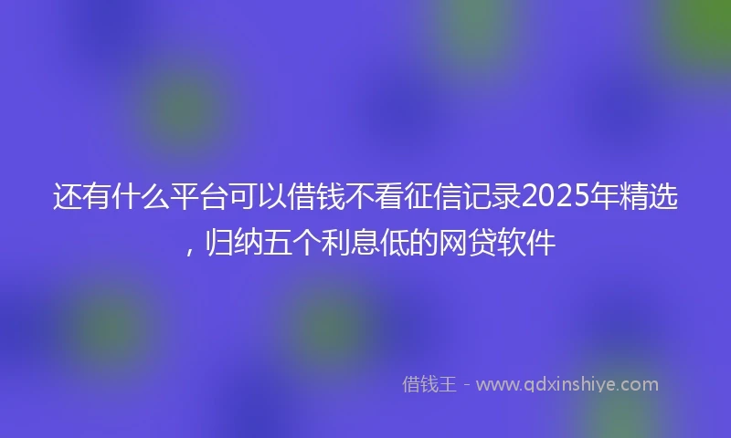 还有什么平台可以借钱不看征信记录2025年精选，归纳五个利息低的网贷软件
