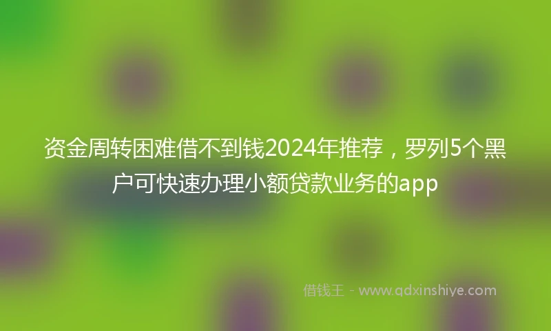 资金周转困难借不到钱2024年推荐，罗列5个黑户可快速办理小额贷款业务的app