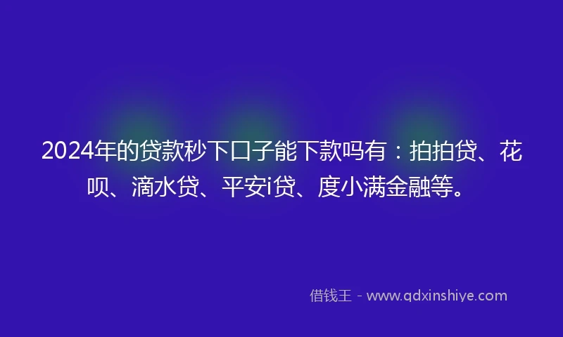 2024年的贷款秒下口子能下款吗有：拍拍贷、花呗、滴水贷、平安i贷、度小满金融等。