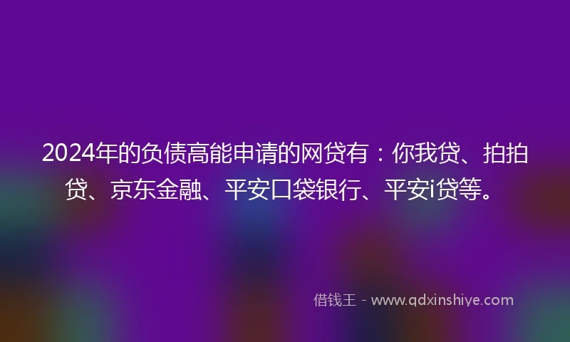 2024年的负债高能申请的网贷有：你我贷、拍拍贷、京东金融、平安口袋银行、平安i贷等。