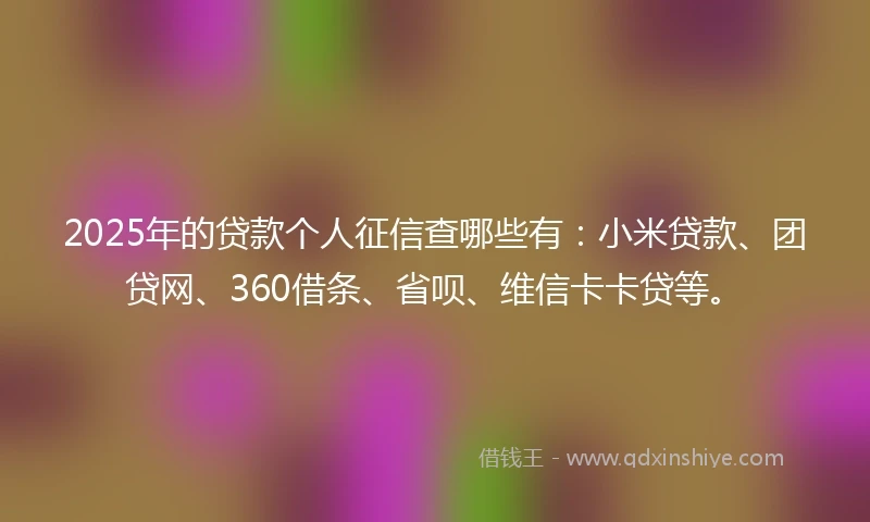 2025年的贷款个人征信查哪些有：小米贷款、团贷网、360借条、省呗、维信卡卡贷等。
