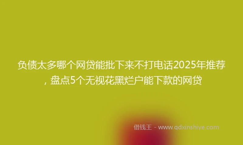 负债太多哪个网贷能批下来不打电话2025年推荐，盘点5个无视花黑烂户能下款的网贷