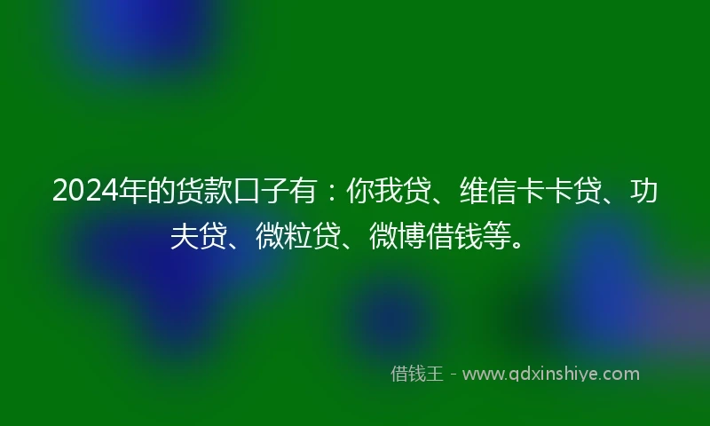2024年的货款口子有：你我贷、维信卡卡贷、功夫贷、微粒贷、微博借钱等。