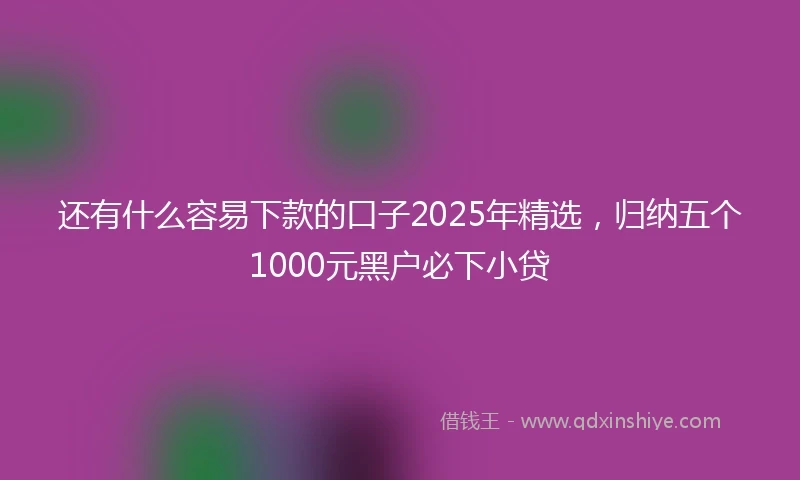 还有什么容易下款的口子2025年精选，归纳五个1000元黑户必下小贷