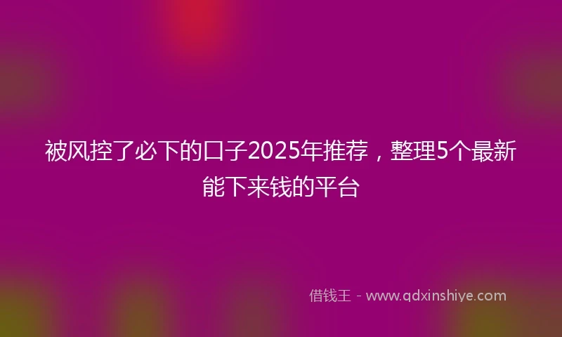 被风控了必下的口子2025年推荐，整理5个最新能下来钱的平台