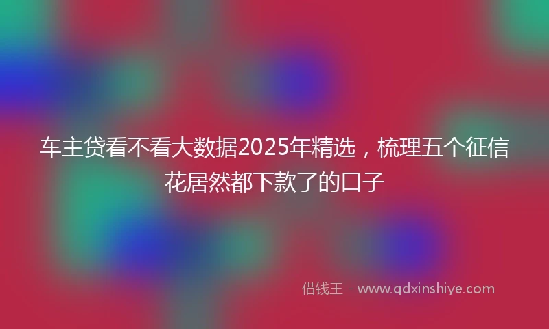 车主贷看不看大数据2025年精选，梳理五个征信花居然都下款了的口子