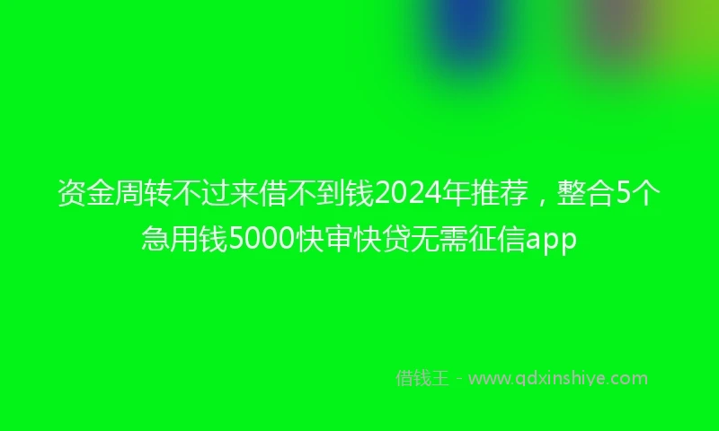 资金周转不过来借不到钱2024年推荐，整合5个急用钱5000快审快贷无需征信app