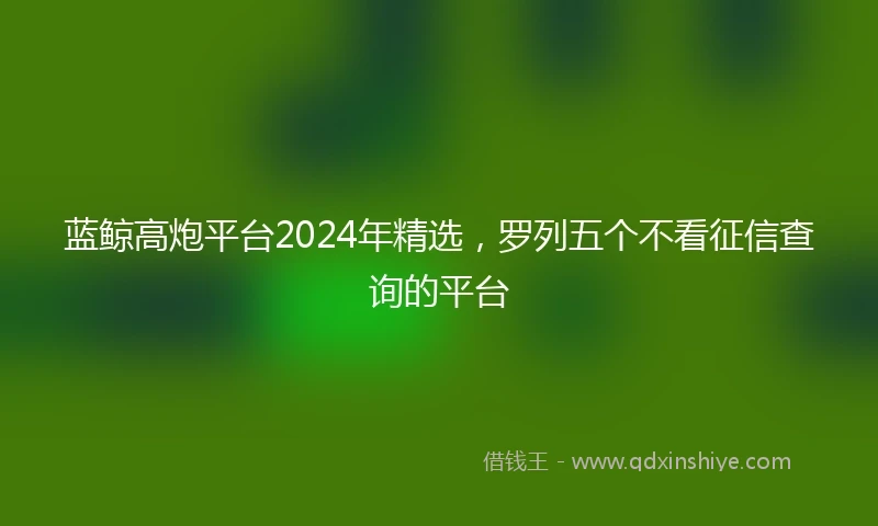 蓝鲸高炮平台2024年精选，罗列五个不看征信查询的平台