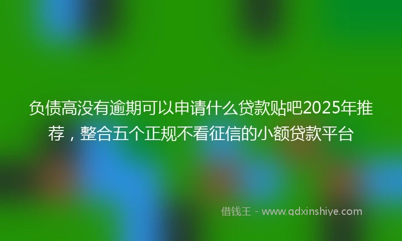 负债高没有逾期可以申请什么贷款贴吧2025年推荐，整合五个正规不看征信的小额贷款平台