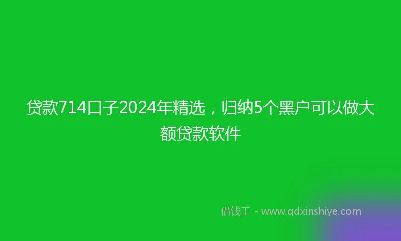 贷款714口子2024年精选，归纳5个黑户可以做大额贷款软件