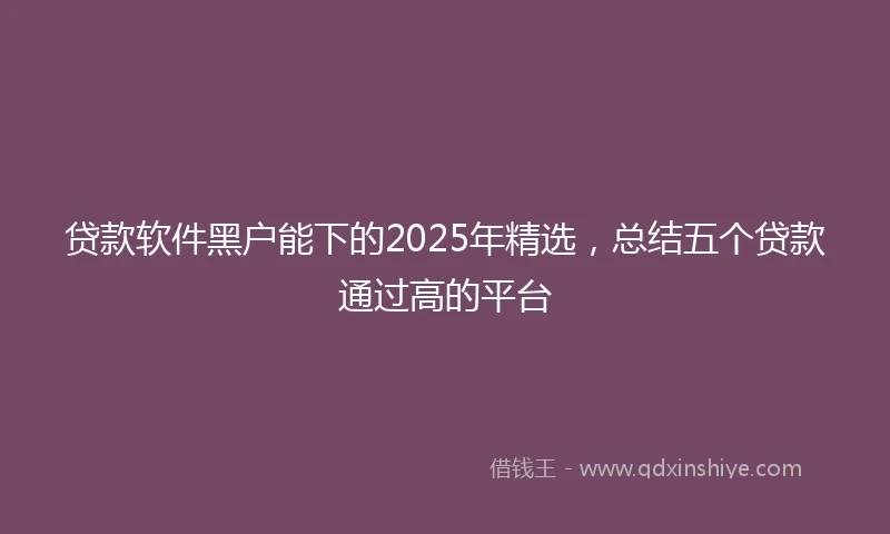 贷款软件黑户能下的2025年精选，总结五个贷款通过高的平台