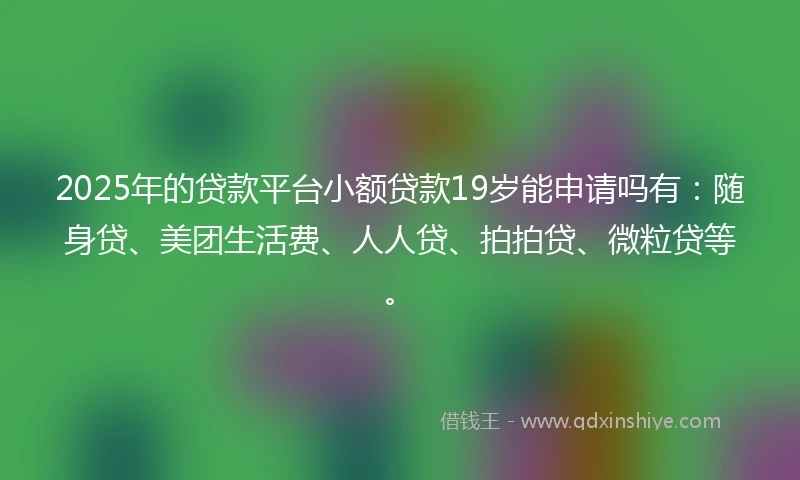 2025年的贷款平台小额贷款19岁能申请吗有：随身贷、美团生活费、人人贷、拍拍贷、微粒贷等。