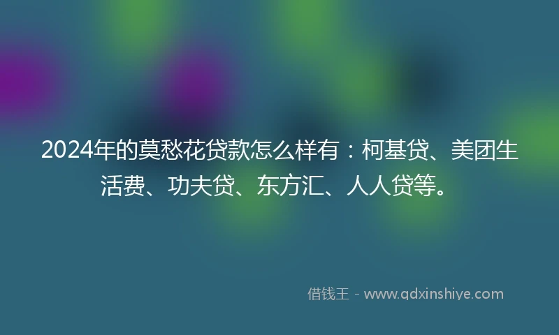 2024年的莫愁花贷款怎么样有：柯基贷、美团生活费、功夫贷、东方汇、人人贷等。