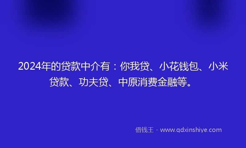 2024年的贷款中介有：你我贷、小花钱包、小米贷款、功夫贷、中原消费金融等。