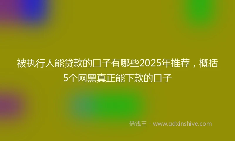 被执行人能贷款的口子有哪些2025年推荐，概括5个网黑真正能下款的口子